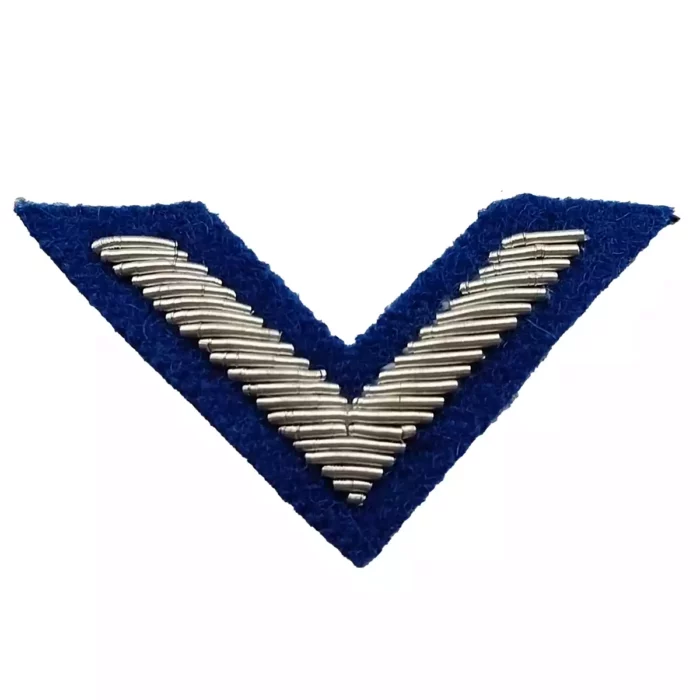 Dystynkcje-do-beretu-i-czapki-garnizonowej-przodownik