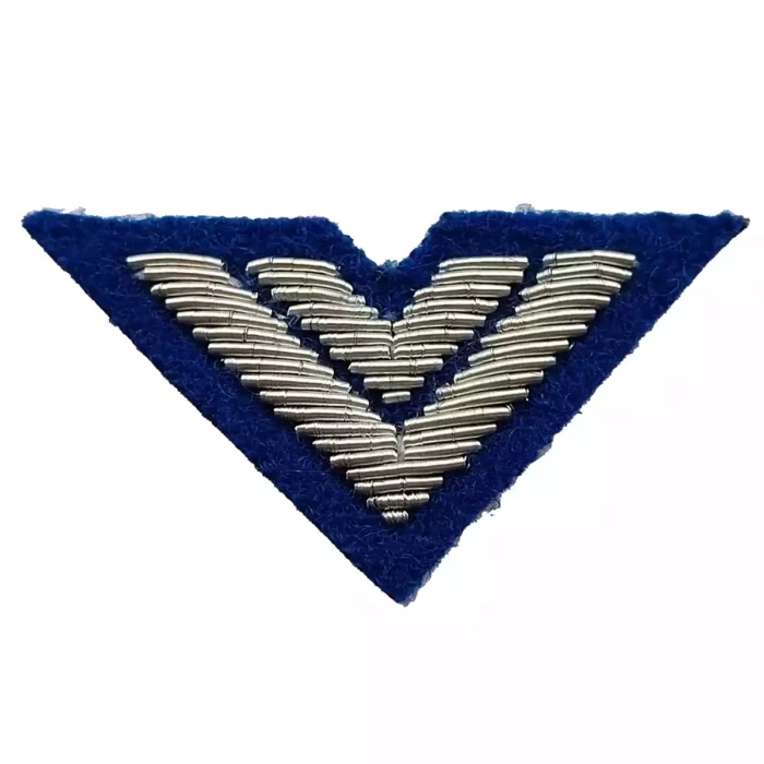 Dystynkcje-do-beretu-i-czapki-garnizonowej-starszy-przodownik